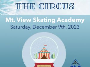 MVSA - Sleigh Bells at the Circus